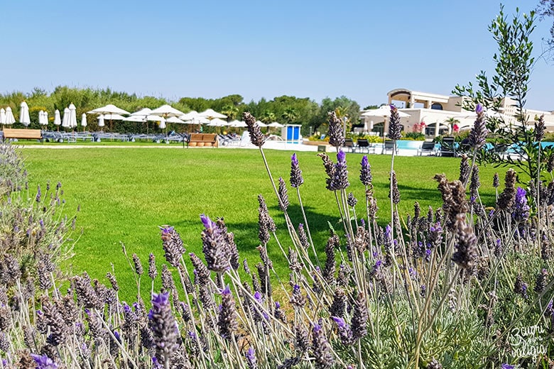 Ugento - Vivosa Apulia resort fiori di lavanda nell'area verde