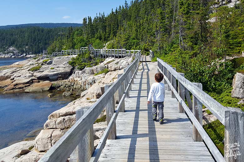 Itinerario Canada orientale con bambini Tadoussac Islet Point