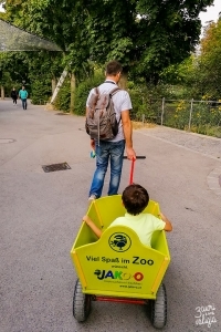 Zoo di Schönbrunn con bambini