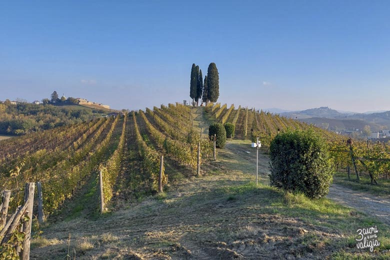 Monferrato con i bambini Castelnuovo Calcea