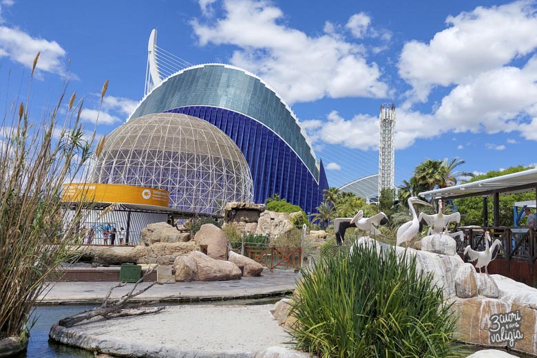 Oceanografic di Valencia